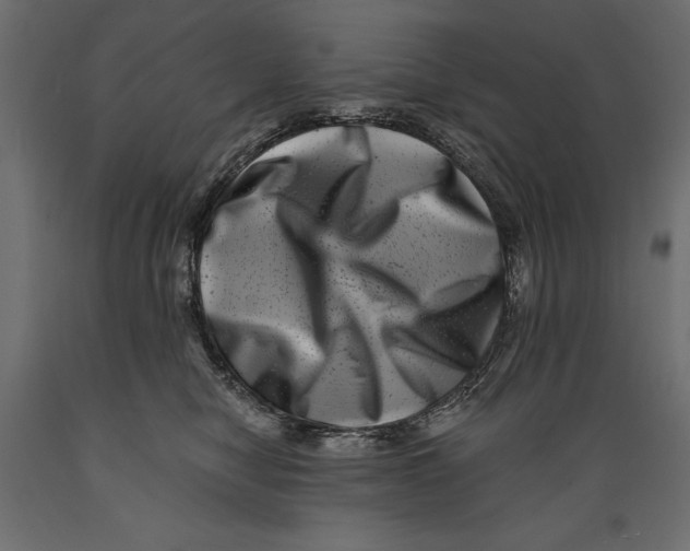 X0000088890470200707061436