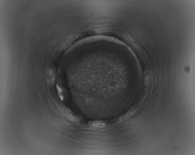 X0000088890471200707061436