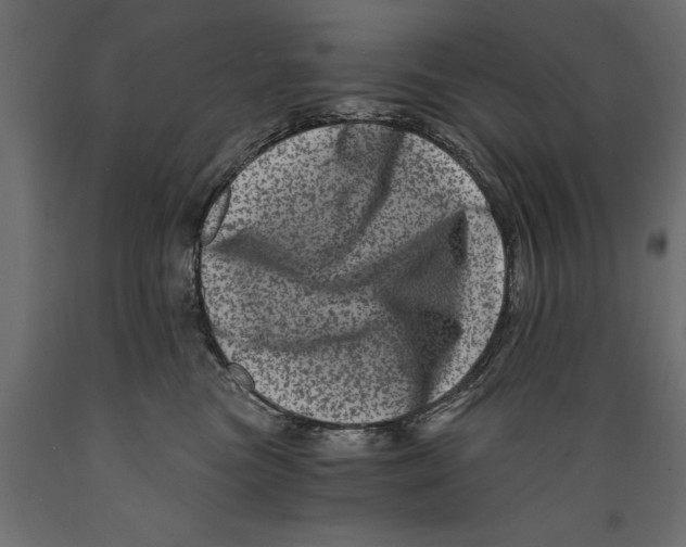 X0000088890473200707061436