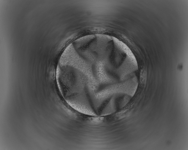 X0000088890474200707061436