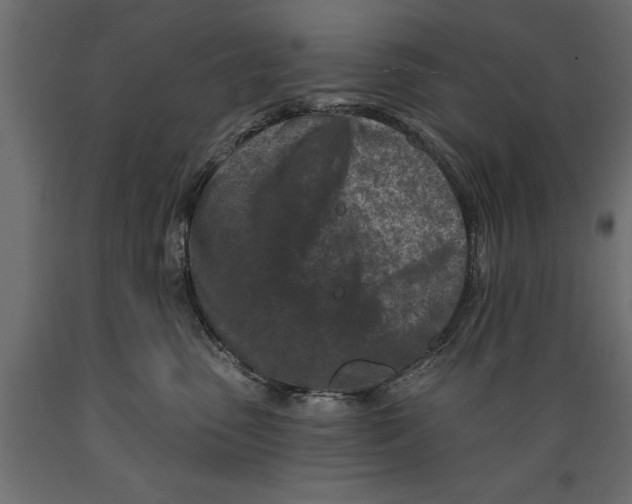 X0000088890475200707061436
