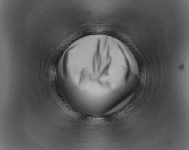 X0000088890476200707061436