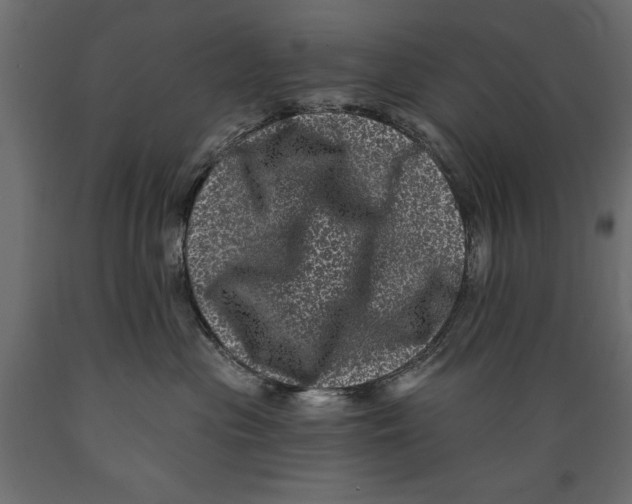 X0000088890477200707061436