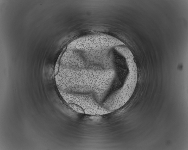 X0000088890478200707061436