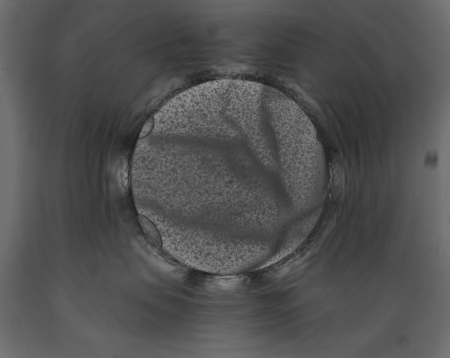 X0000088890479200707061436