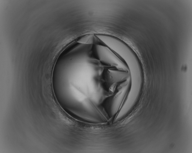 X0000088890481200707061435