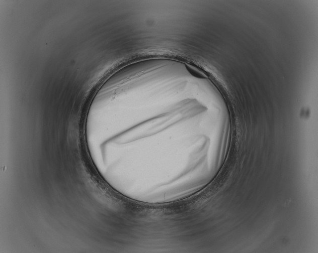 X0000088890482200707061435