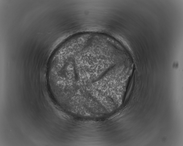 X0000088890483200707061435