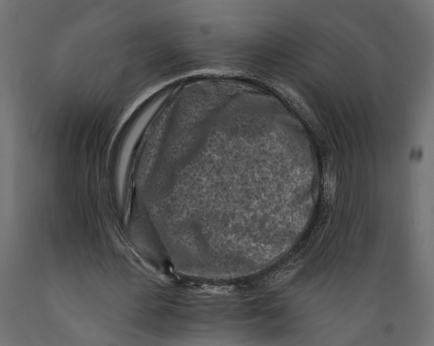 X0000088890484200707061435