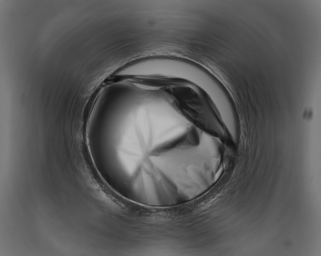 X0000088890485200707061435