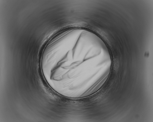 X0000088890486200707061435