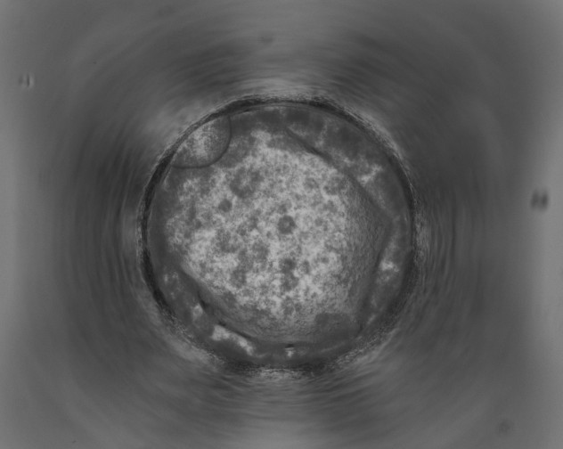 X0000088890487200707061435