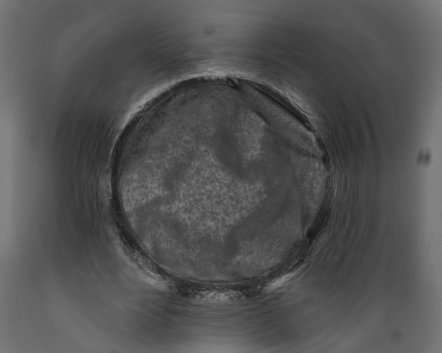 X0000088890488200707061435
