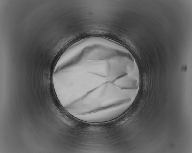X0000088890490200707061435