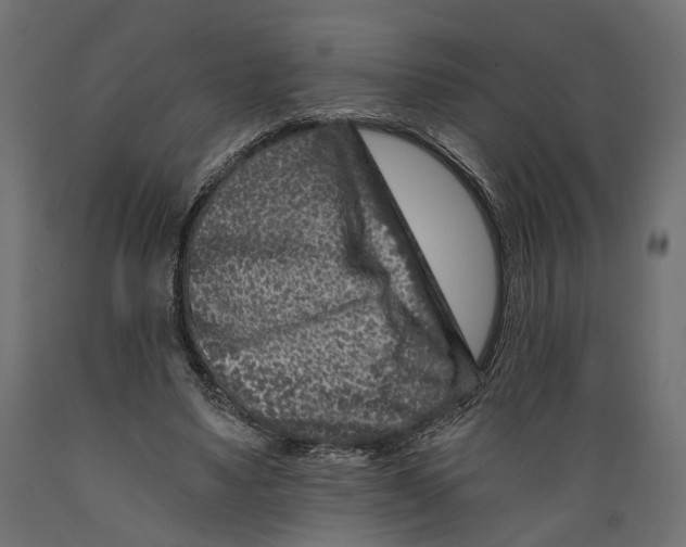 X0000088890491200707061435