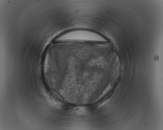 X0000088890492200707061435