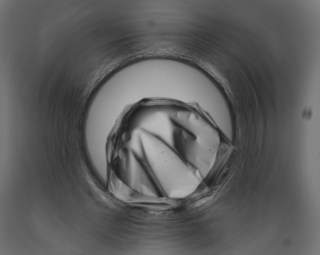 X0000088890493200707061435