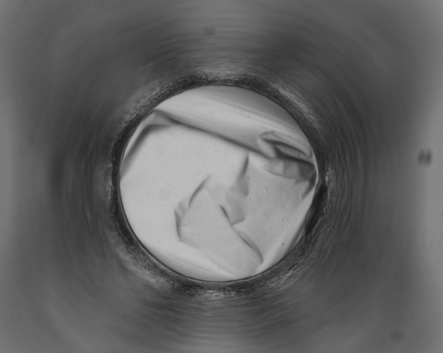 X0000088890494200707061435