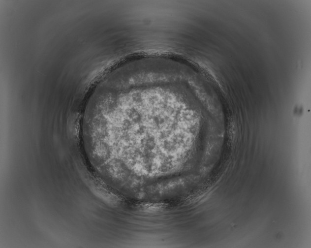 X0000088890495200707061435