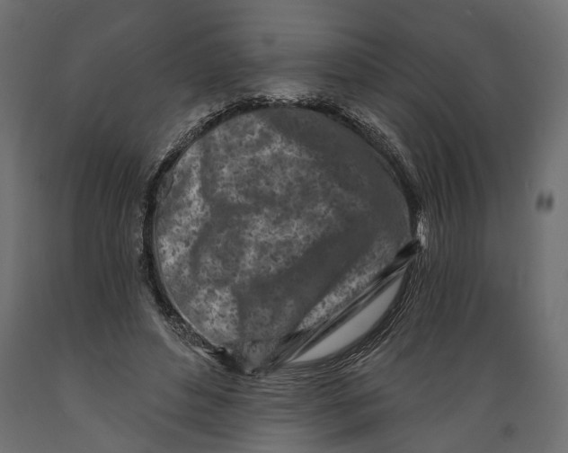 X0000088890496200707061435
