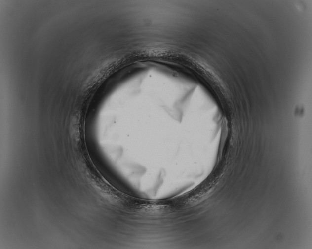 X0000088890497200707061435