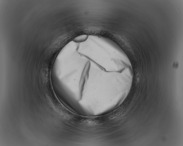 X0000088890498200707061435