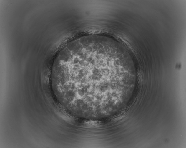 X0000088890499200707061435