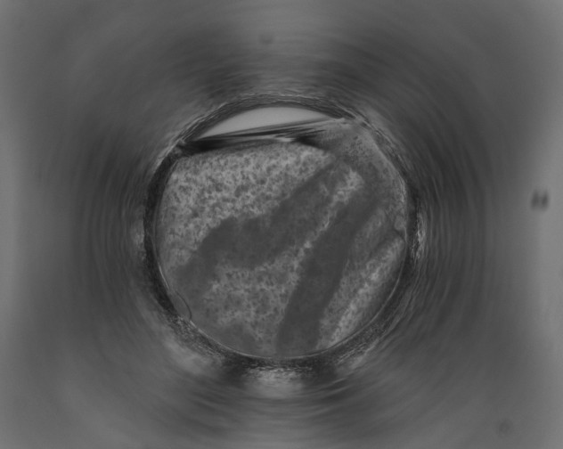 X0000088890500200707061435