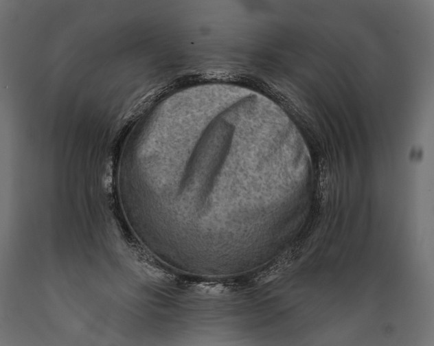 X0000088890502200707061435
