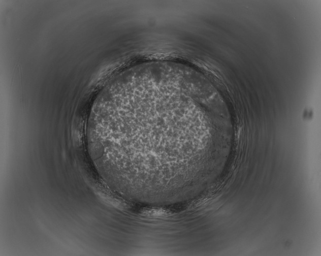 X0000088890503200707061435