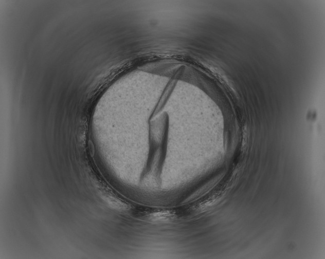 X0000088890505200707061435