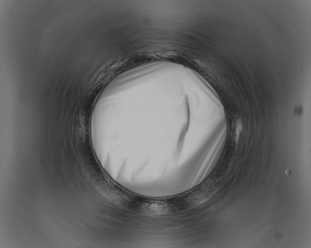 X0000088890506200707061435