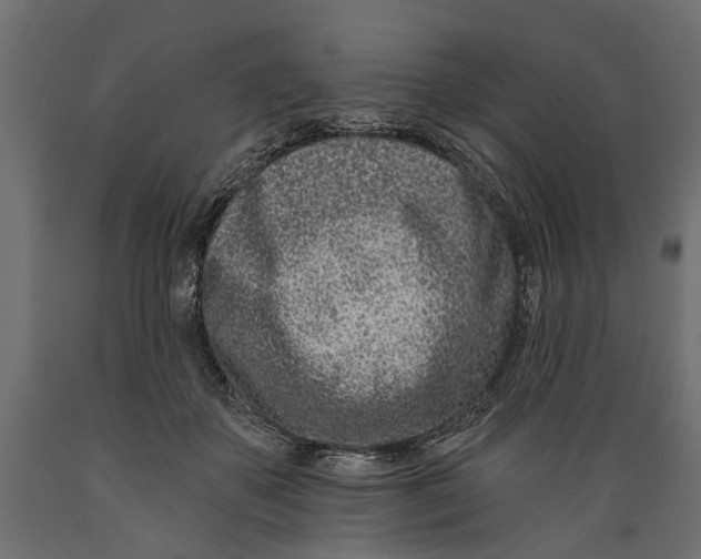 X0000088890507200707061435