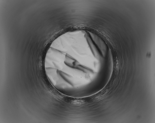X0000088890508200707061435