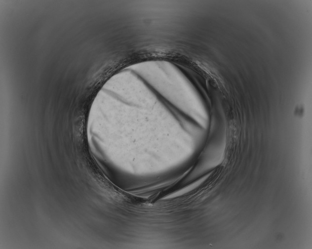 X0000088890509200707061435