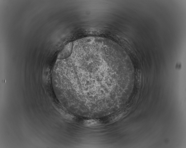 X0000088890511200707061435