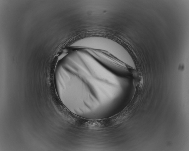 X0000088890512200707061435
