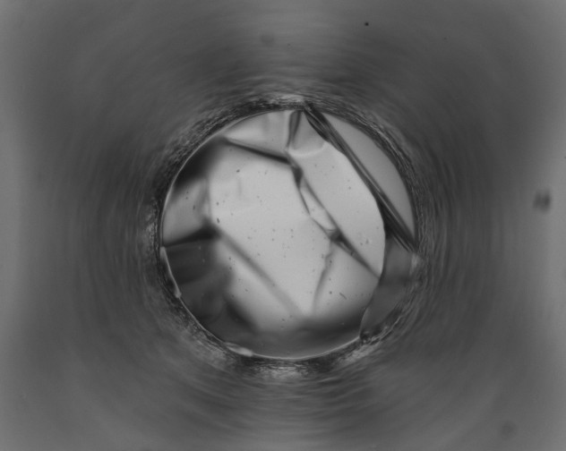 X0000088890513200707061435