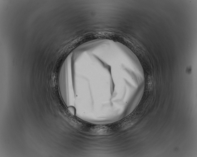 X0000088890514200707061435