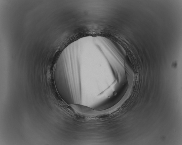 X0000088890516200707061435