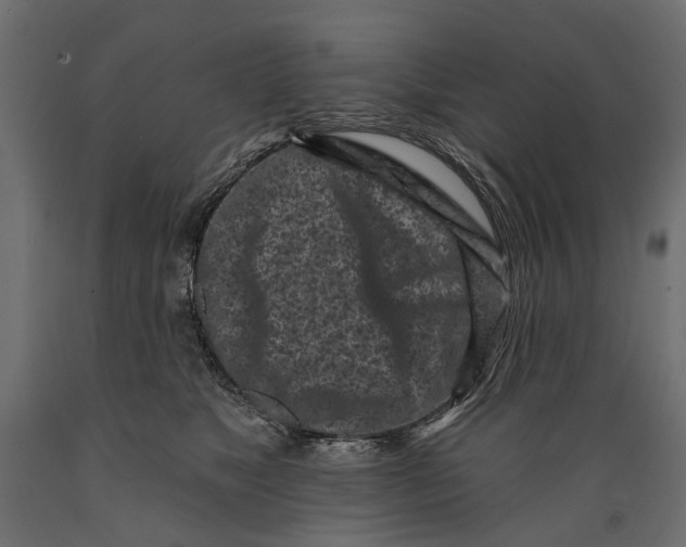 X0000088890517200707061435