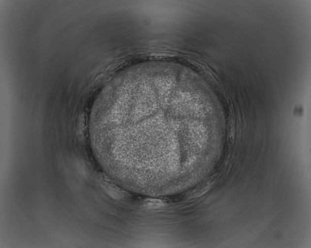 X0000088890519200707061435