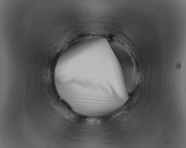 X0000088890520200707061435