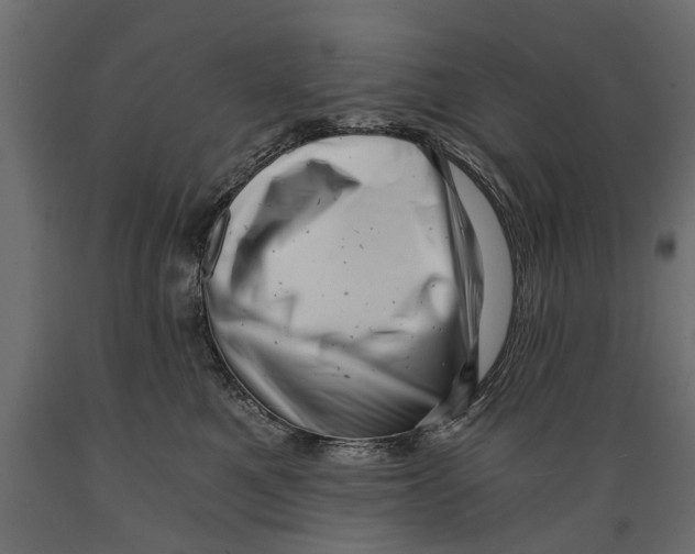 X0000088890521200707061435