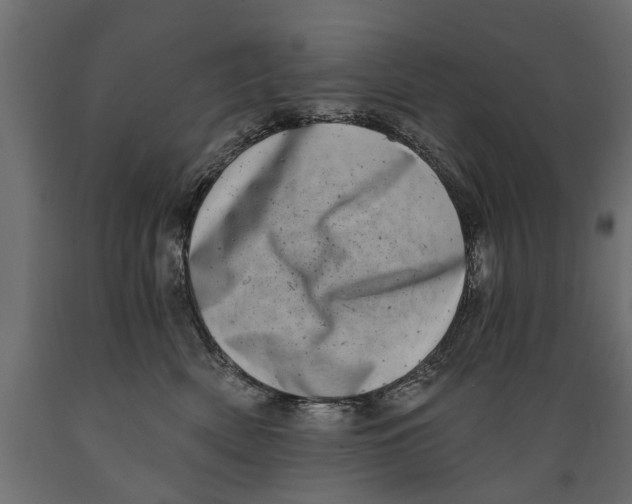 X0000088890522200707061435