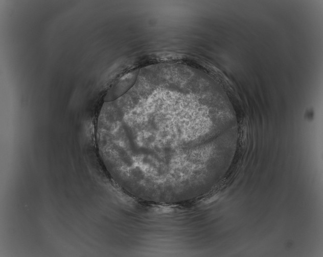 X0000088890523200707061435