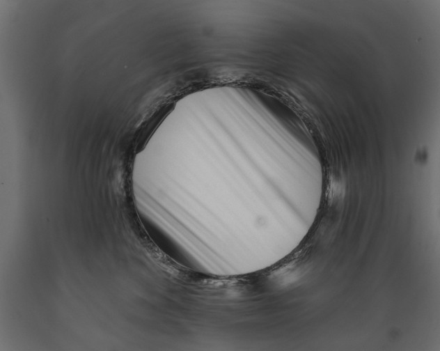 X0000088890524200707061435