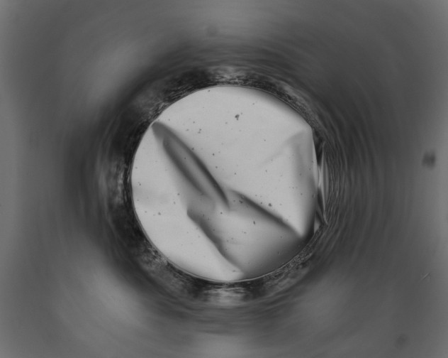 X0000088890525200707061435
