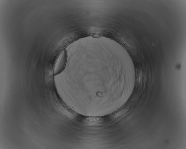 X0000088890526200707061435
