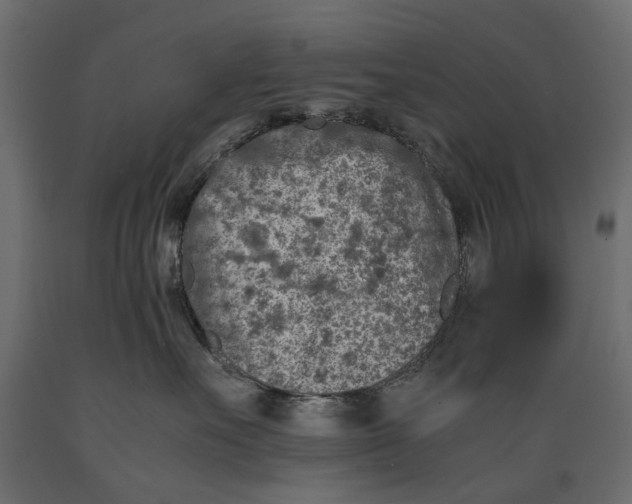 X0000088890527200707061435
